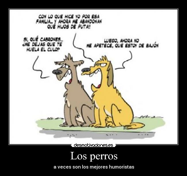 Los perros - 