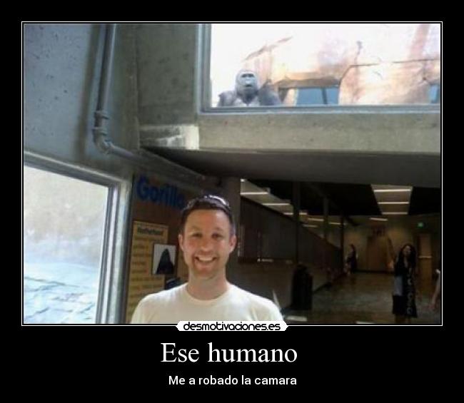 Ese humano  - Me a robado la camara