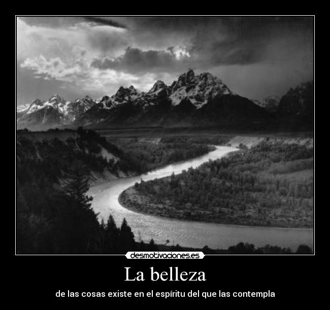 La belleza - 