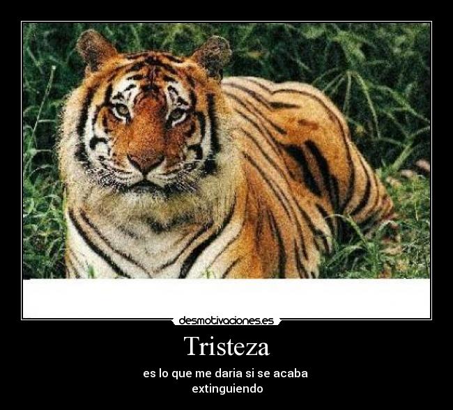 Tristeza -