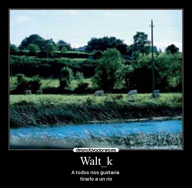 Walt_k -