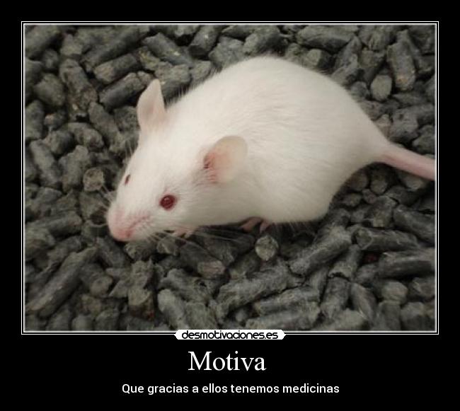 Motiva  - Que gracias a ellos tenemos medicinas