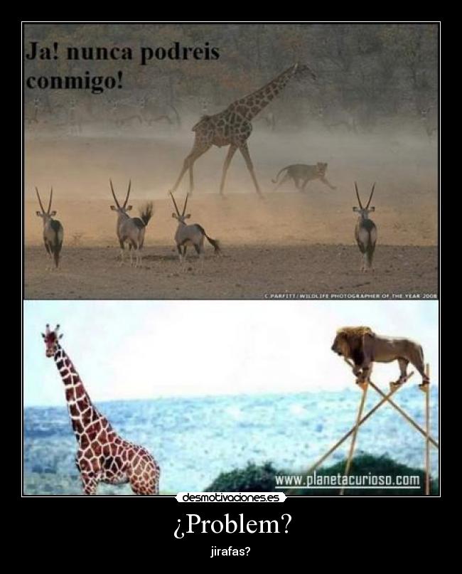 ¿Problem? - jirafas?