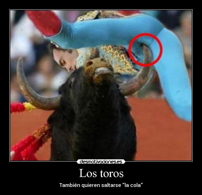 carteles toros cola principal toreros desmotivaciones