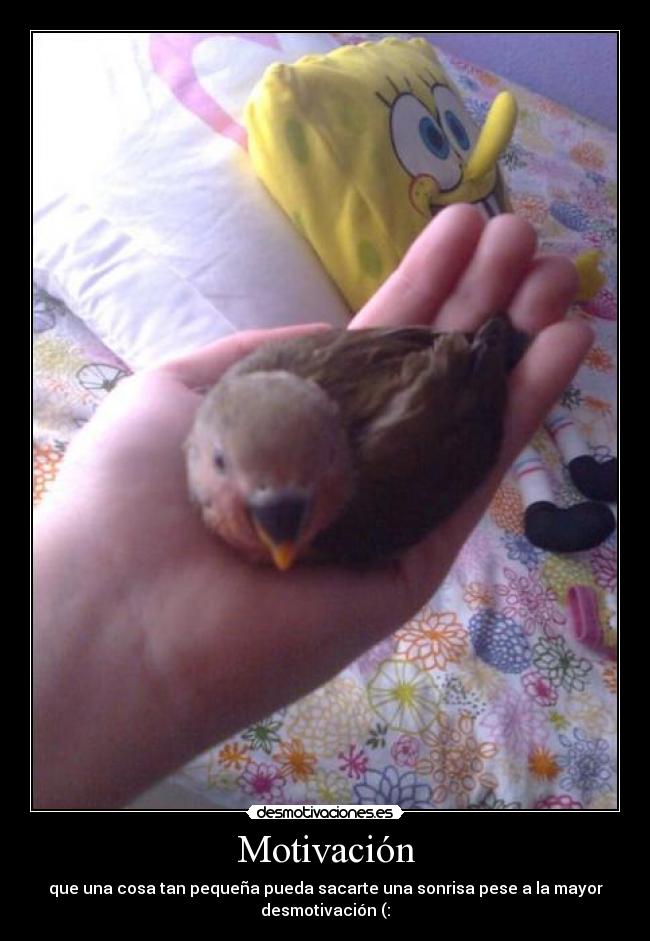 Motivación - que una cosa tan pequeña pueda sacarte una sonrisa pese a la mayor
desmotivación (: