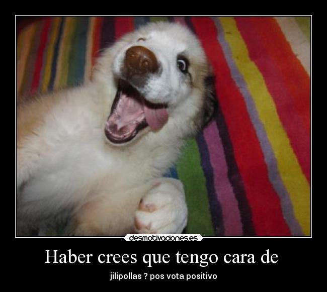 Haber crees que tengo cara de -
