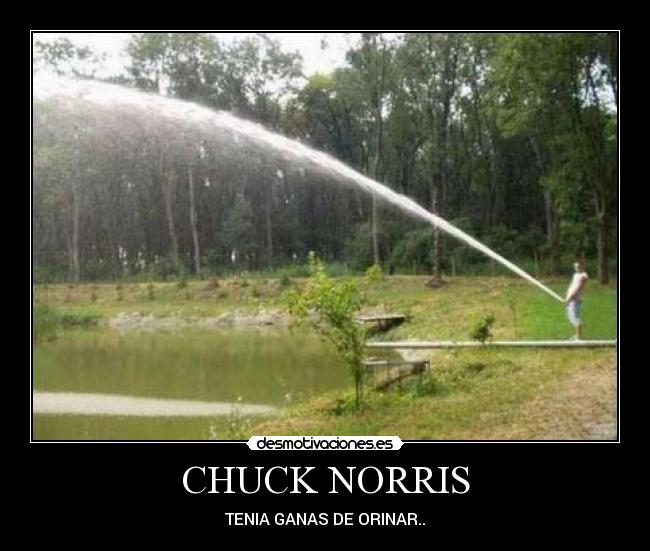 CHUCK NORRIS - TENIA GANAS DE ORINAR..