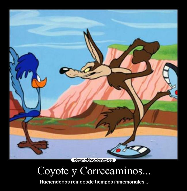 Coyote y Correcaminos... -