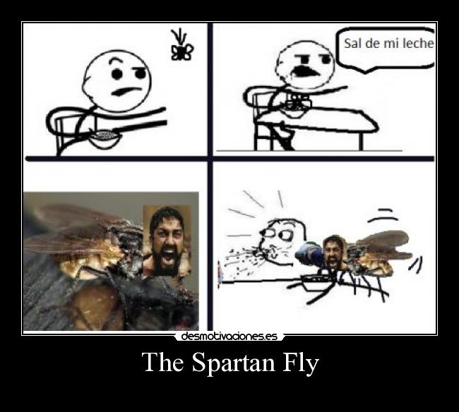 The Spartan Fly - 