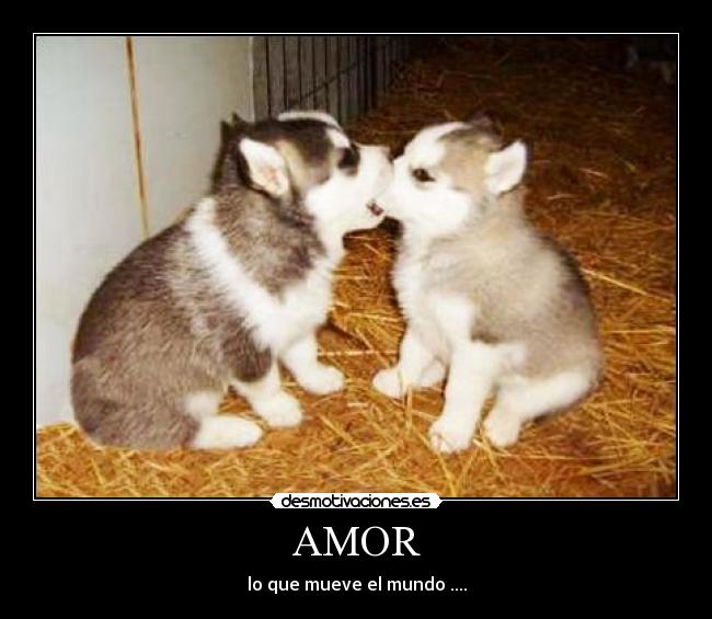 AMOR - lo que mueve el mundo ....