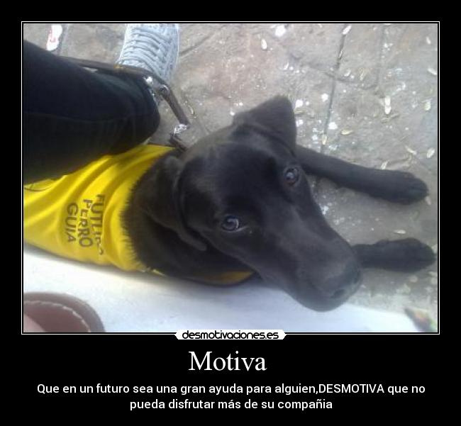 Motiva  - Que en un futuro sea una gran ayuda para alguien,DESMOTIVA que no
pueda disfrutar más de su compañia