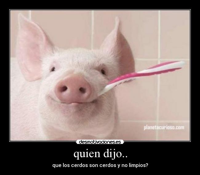 quien dijo.. - que los cerdos son cerdos y no limpios?