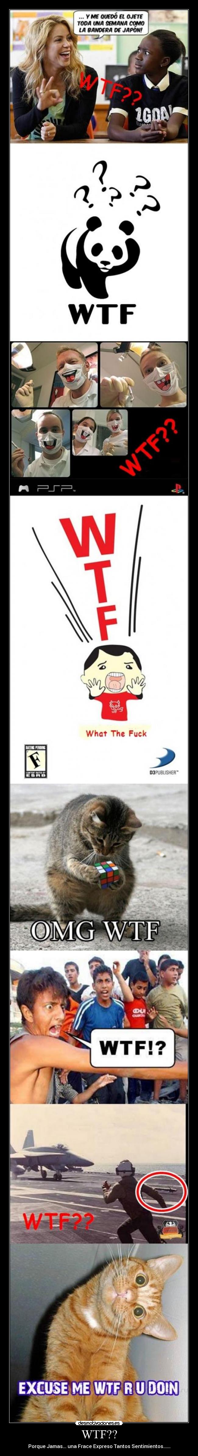 WTF?? - Porque Jamas... una Frace Expreso Tantos Sentimientos......