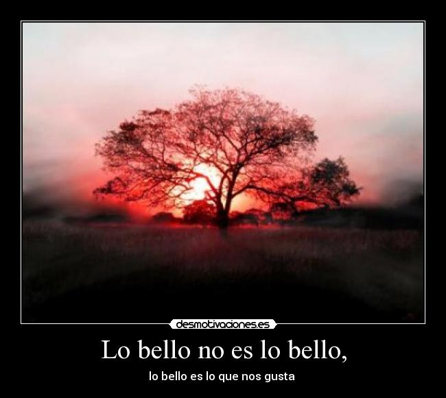 Lo bello no es lo bello, - lo bello es lo que nos gusta ♥