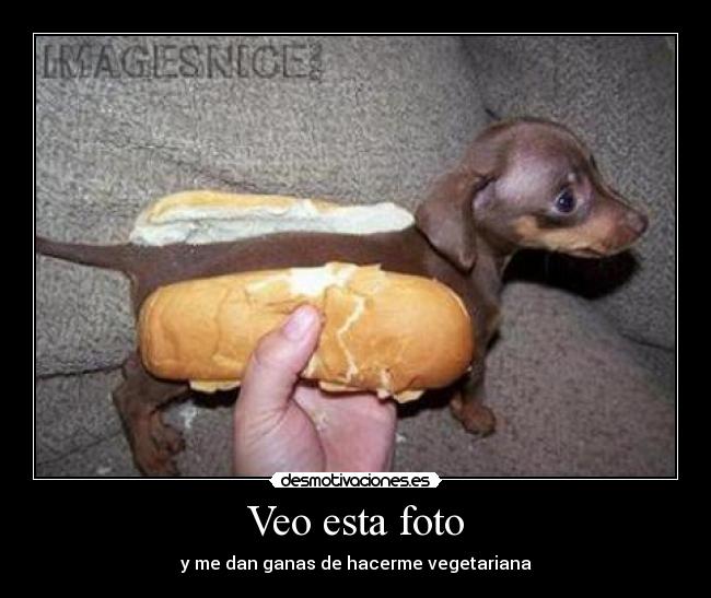 carteles desmotivaciones