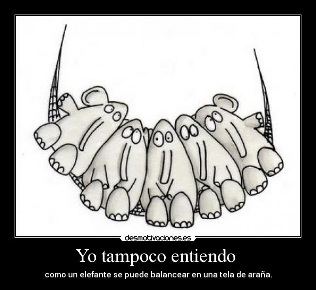 Yo tampoco entiendo -