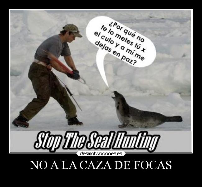 carteles stop the seal hunting caza focas desmotivaciones