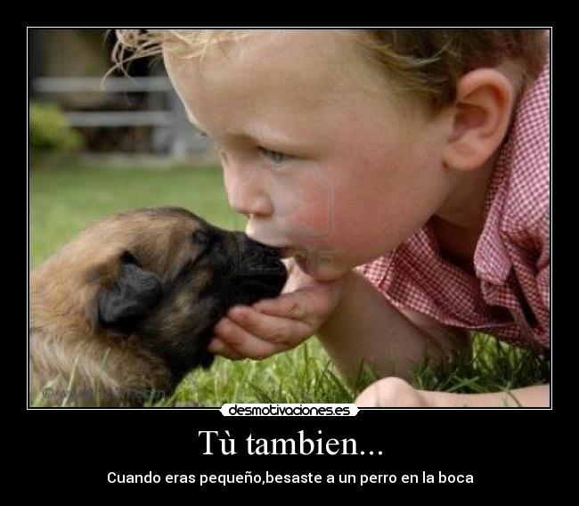 Tù tambien... - 