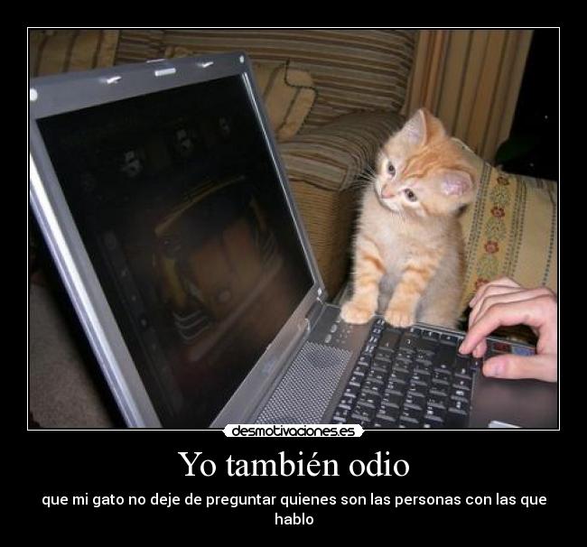 Yo también odio -