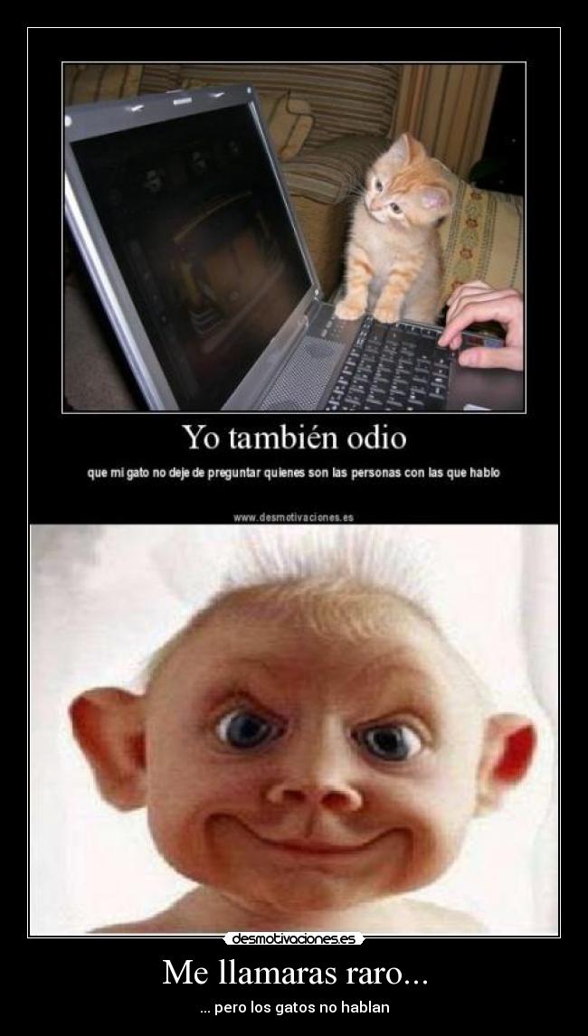 Me llamaras raro... - ... pero los gatos no hablan