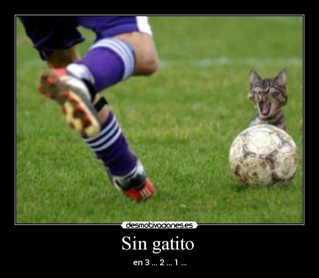 Sin gatito  - en 3 ... 2 ... 1 ...