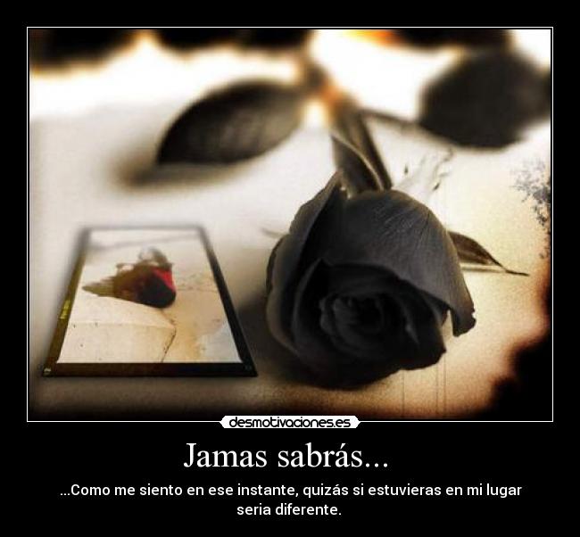 Jamas sabrás... -