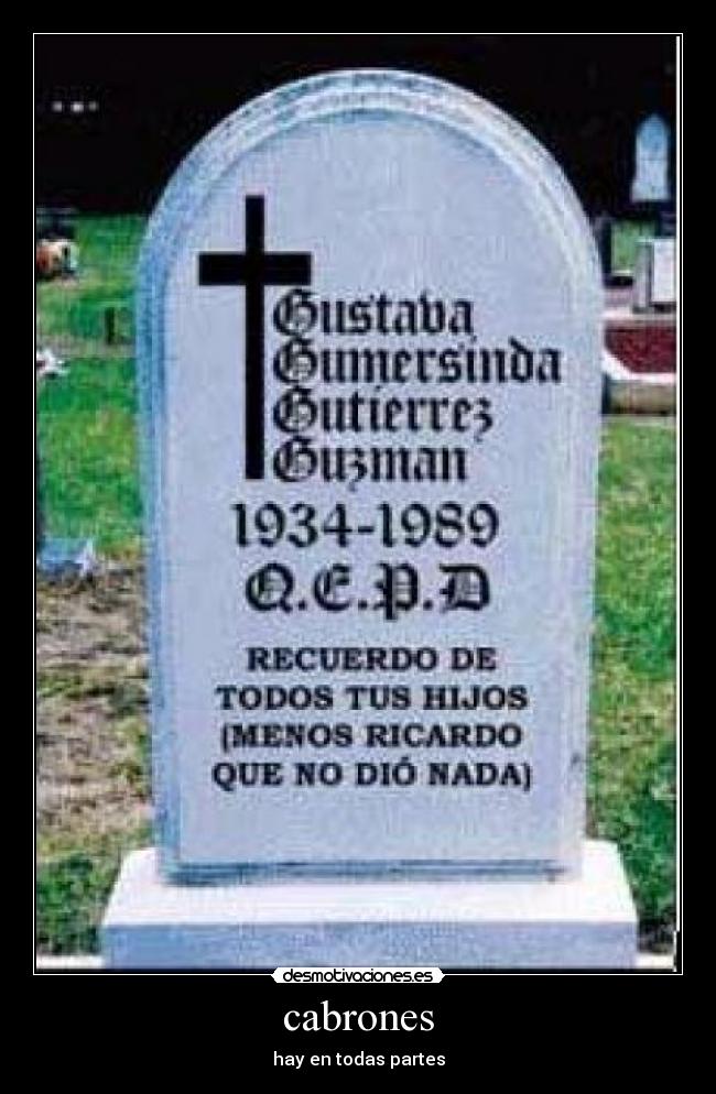 cabrones - hay en todas partes