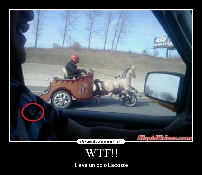 WTF!! - Lleva un polo Lacoste
