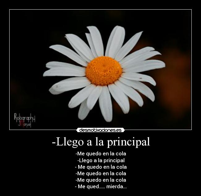 -Llego a la principal -