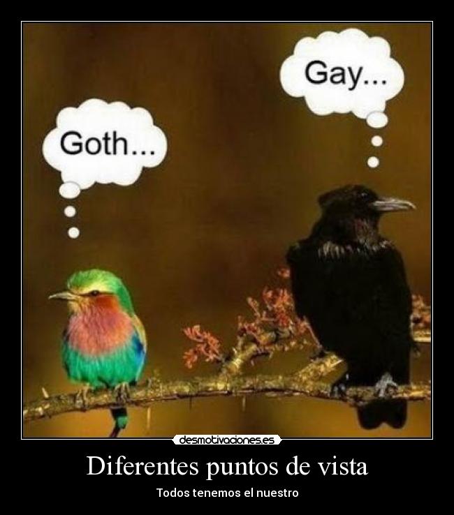 Diferentes puntos de vista - Todos tenemos el nuestro