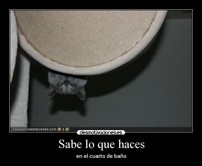 Sabe lo que haces -