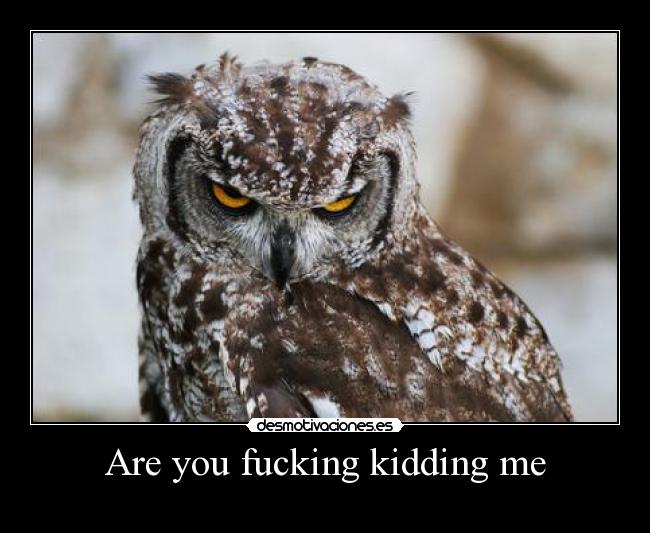 Are you fucking kidding me - 