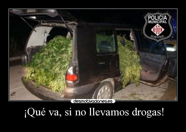 ¡Qué va, si no llevamos drogas! - 