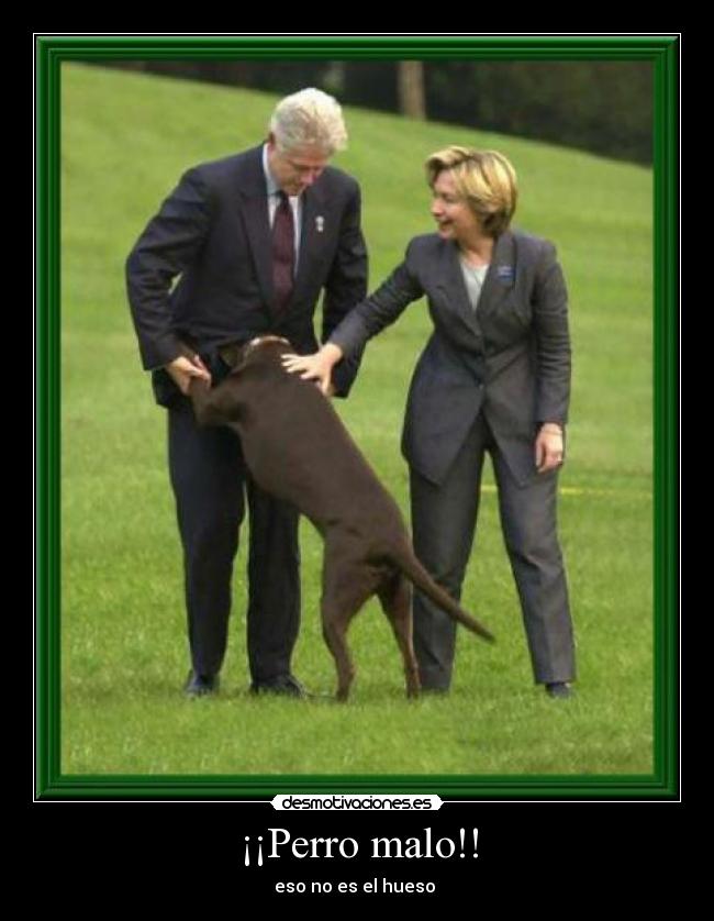 ¡¡Perro malo!! - eso no es el hueso