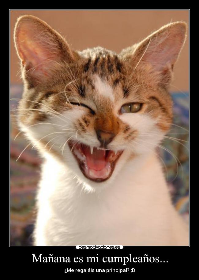 Mañana es mi cumpleaños... - ¿Me regaláis una principal? ;D