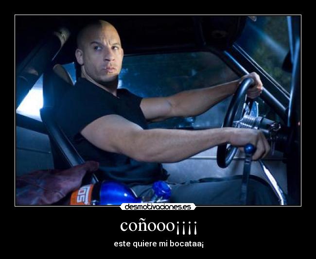 coñooo¡¡¡¡ - este quiere mi bocataa¡