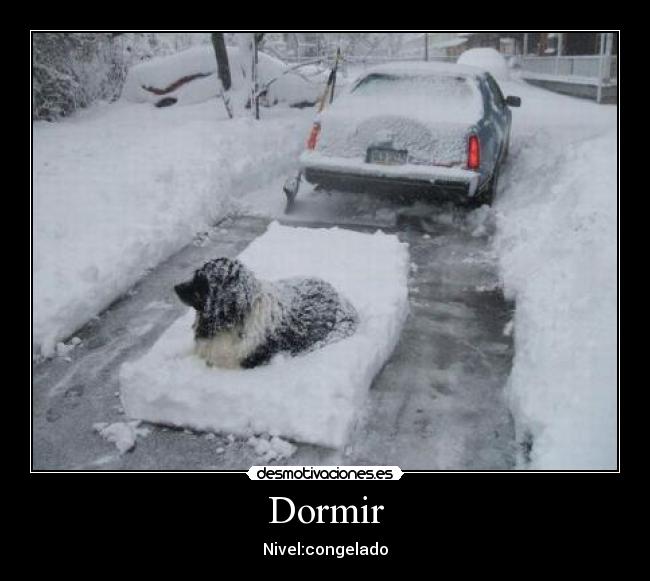 Dormir -