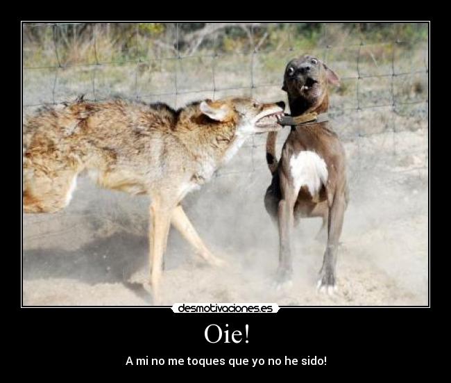 Oie! - A mi no me toques que yo no he sido!