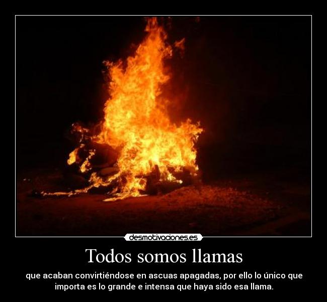 carteles todos somos llamas desmotivaciones