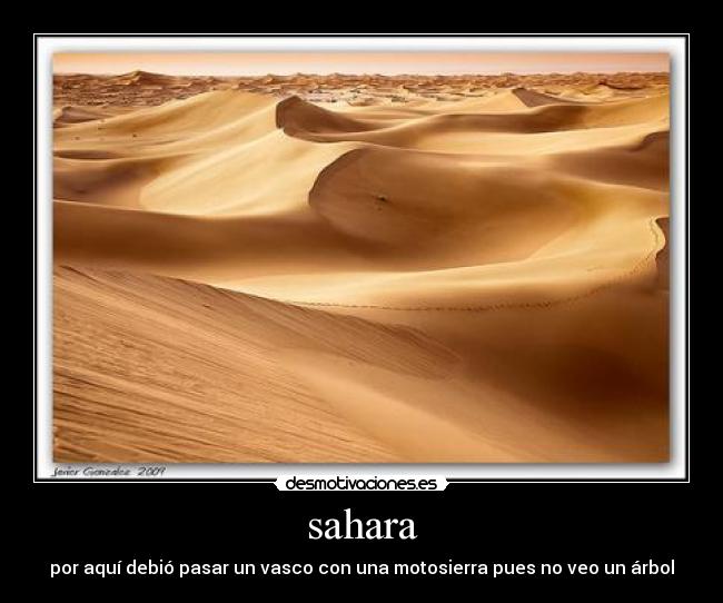 sahara -