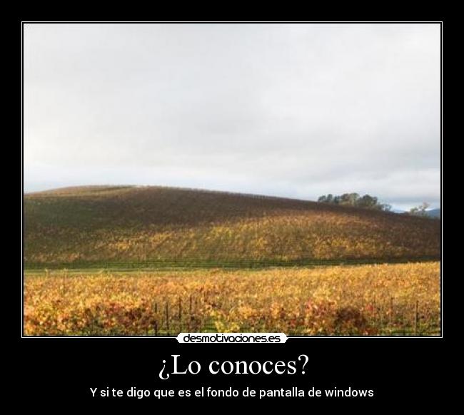 ¿Lo conoces? - Y si te digo que es el fondo de pantalla de windows