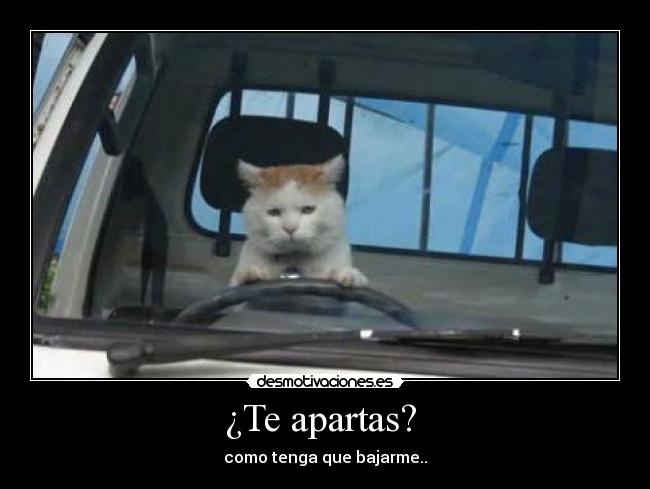 ¿Te apartas?  - 