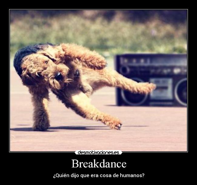 Breakdance - ¿Quién dijo que era cosa de humanos?