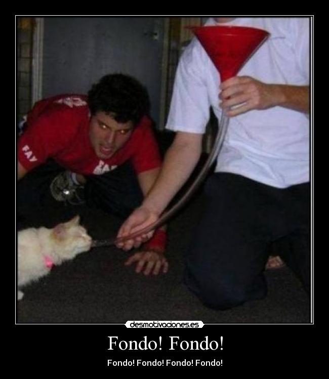 Fondo! Fondo! - Fondo! Fondo! Fondo! Fondo!