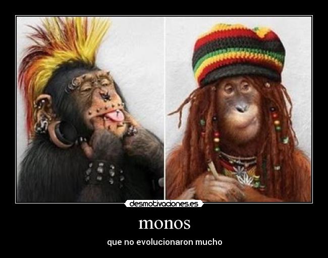 monos - 