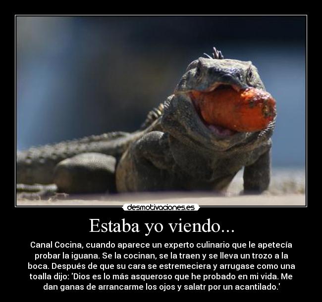 carteles iguana desmotivaciones
