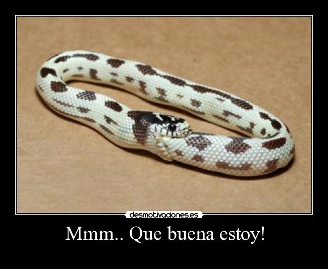 Mmm.. Que buena estoy! - 