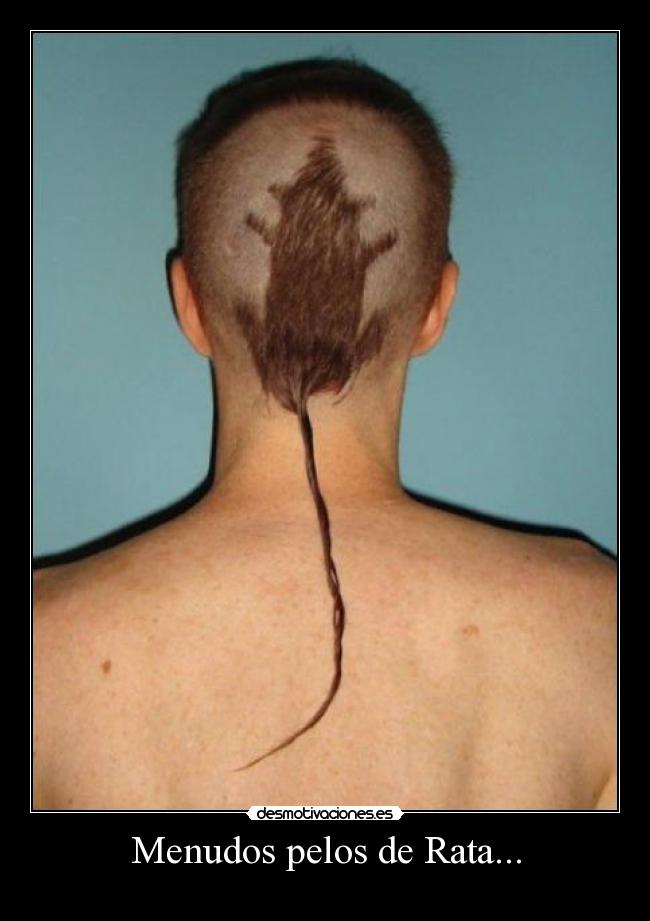Menudos pelos de Rata... -