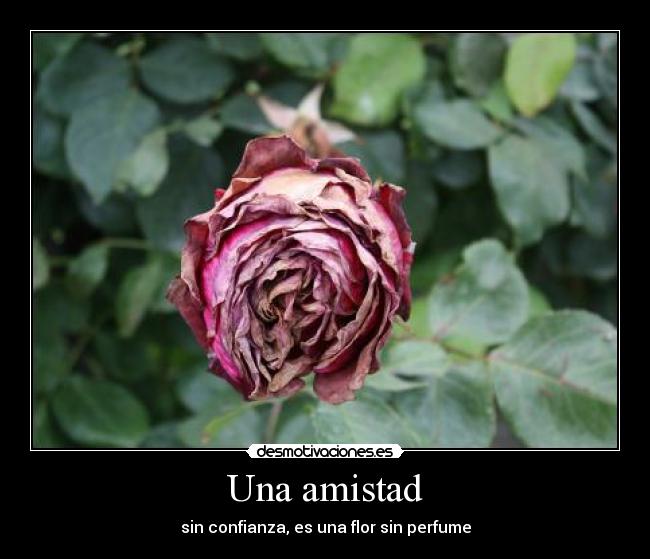 Una amistad - 