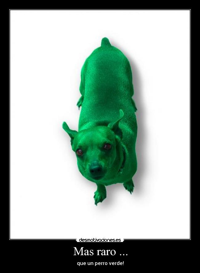 Mas raro ... - que un perro verde!
